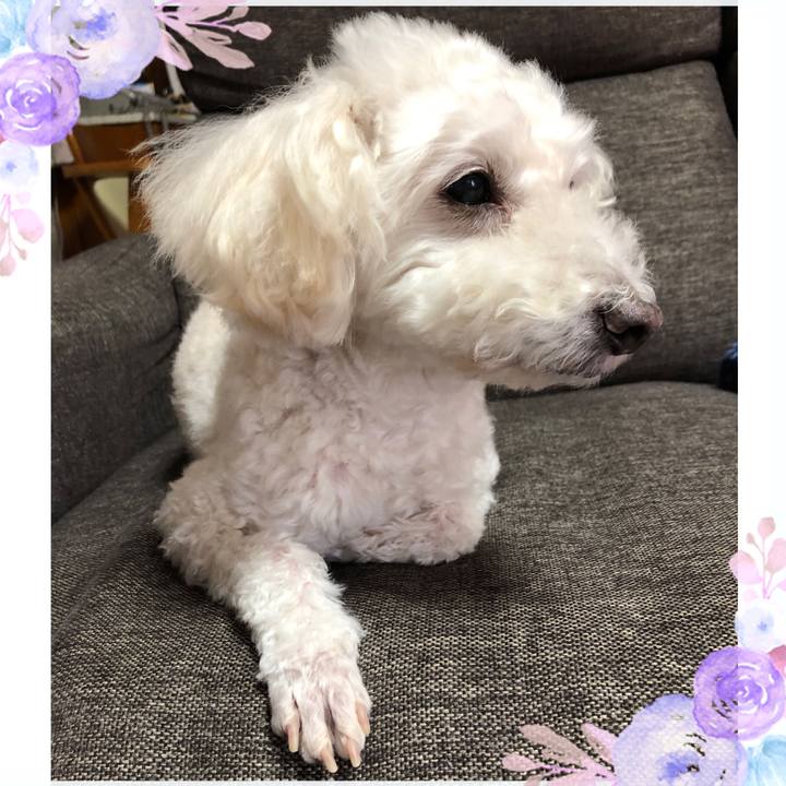 C962780d 3042 45aa 9c10 a1a5c0201603 1543587098188