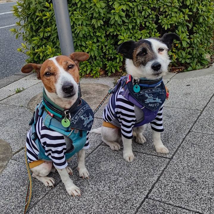 C962aea2 10c0 440e b7a4 6477191943f7 1710630657713