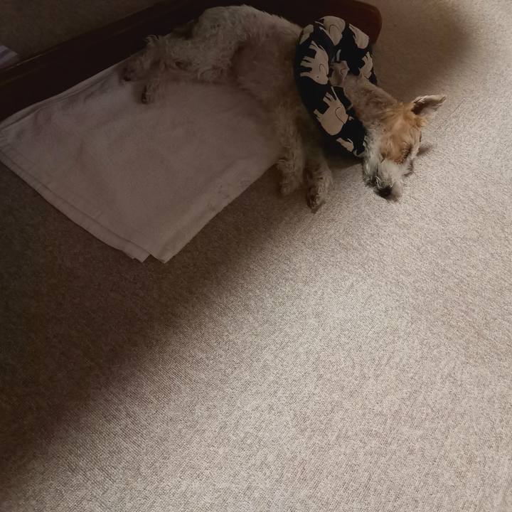 C962f2f9 4551 4398 aace 8586ae1a76f8 1626098622462