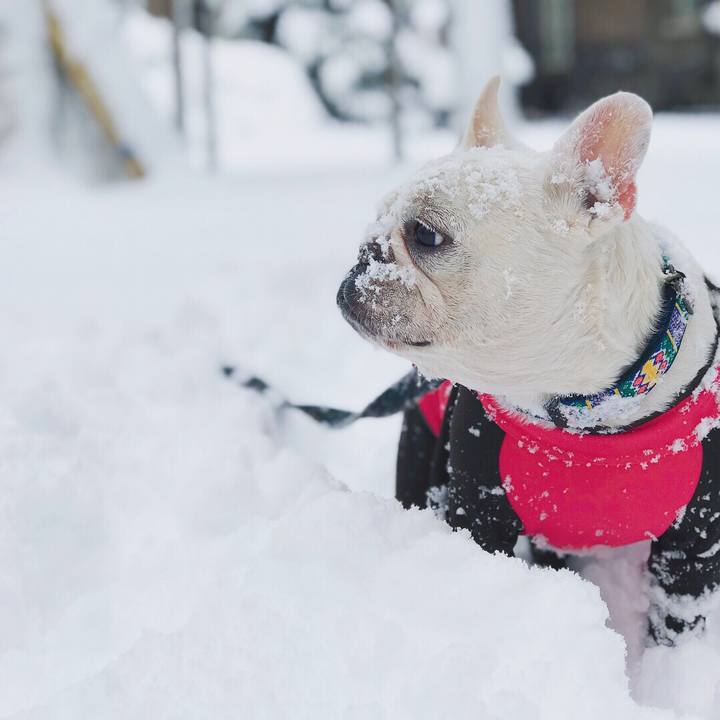 C9633638 cea0 46b3 a6d6 2644d4f40967 1511063768877