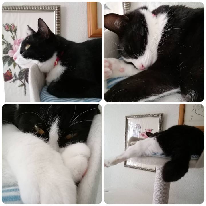 C96354ba 7226 4022 9962 e1a8cf7bd157 1559051014693