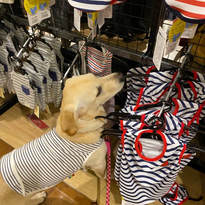 C9635f86 39fe 4a87 8a99 d01f8acaf278 1620616697554