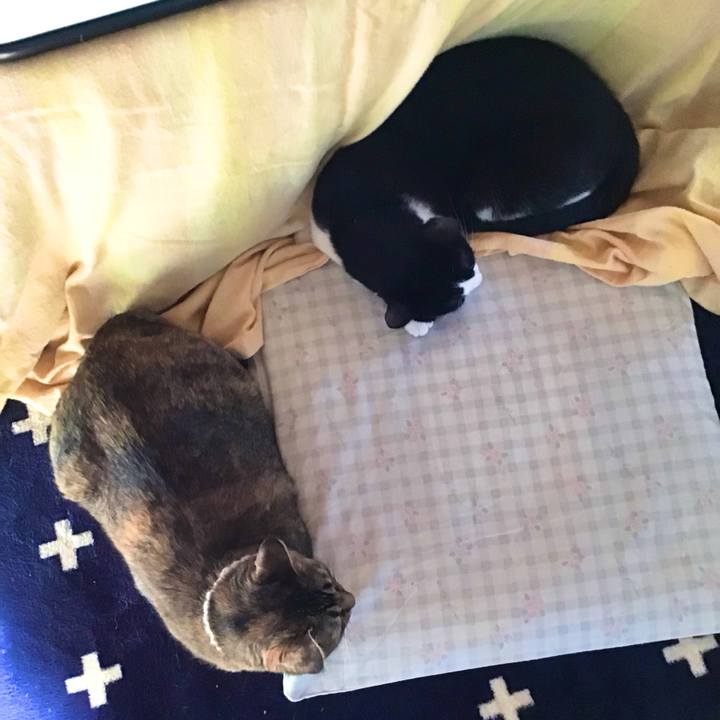 C963801d 51f9 43ac 8d32 96e48c6ff0e5 1713311870367