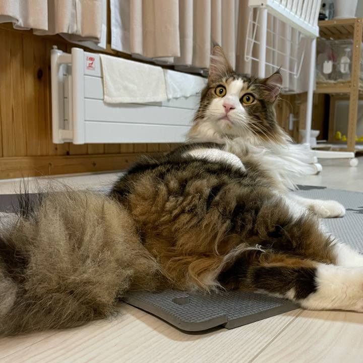 C963c7f1 fd91 4e82 8af0 e63af4377f40 1647520765035