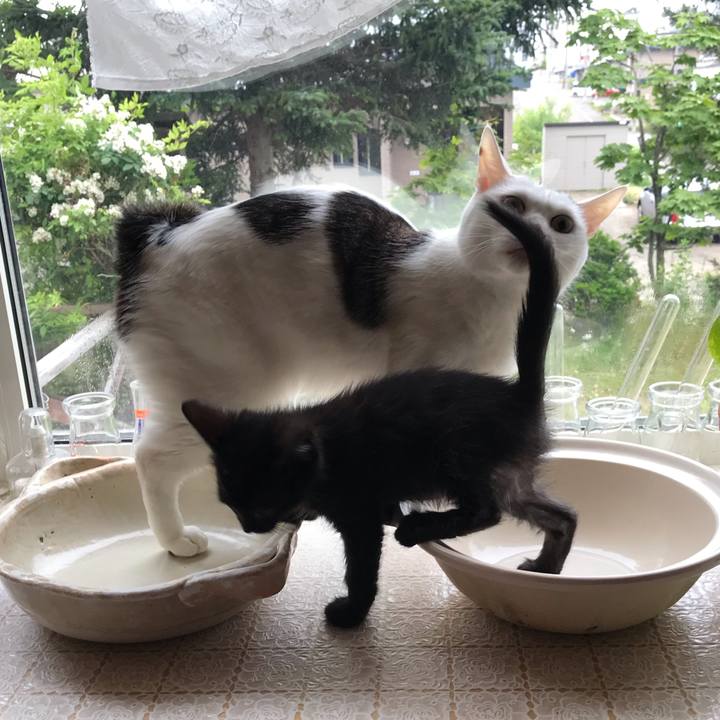 C963e0d8 390d 4292 bfb9 90981d6cb6ac 1561848116511