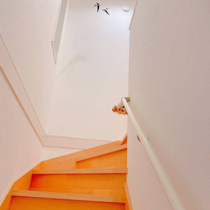 C963f8f2 923c 492e 98ea 324a591dbb51 1636081493241