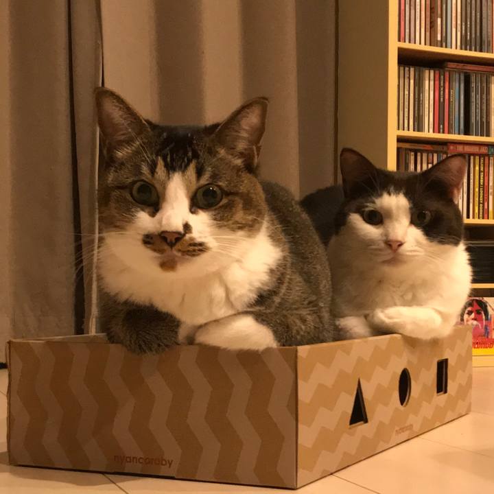 C9641919 a73c 42f9 a4fd 6980a707985d 1600924031741