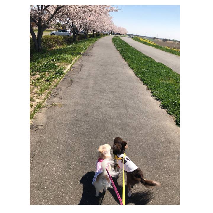 C9642d7a 293c 421d b9a3 88a6a4bb7f23 1522402562877