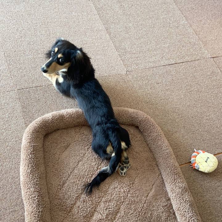 C9648cc7 4daf 42dc b61f 9a35ab94a560 1675050257339