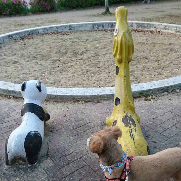 C9649757 d378 4328 adb8 13426c4b6a24 1523833295730