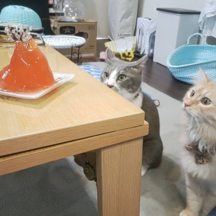 C964a9f8 d939 478d b641 18be6c219574 1692576992004