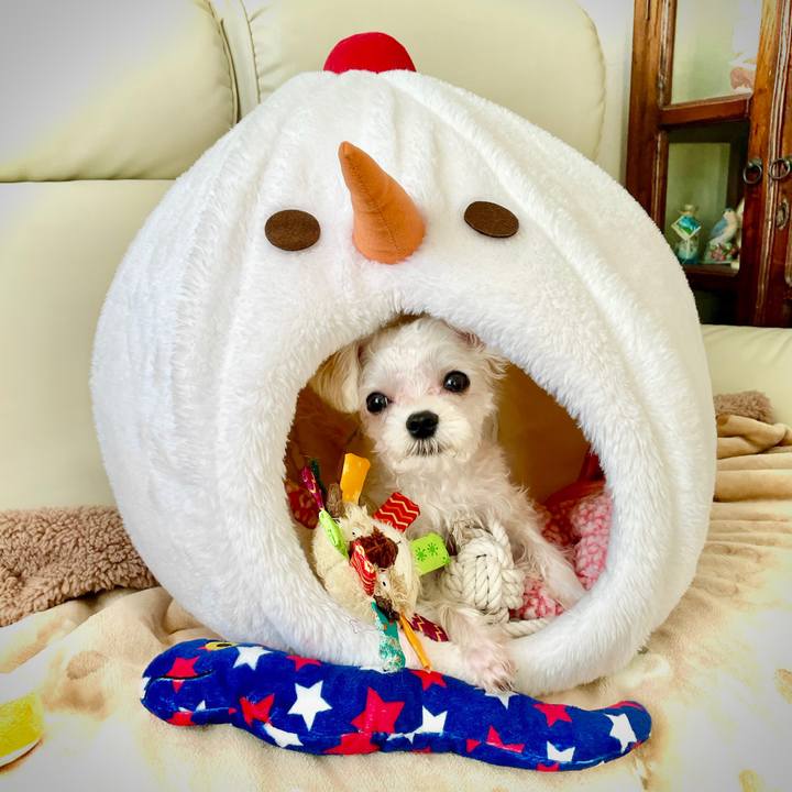 C964cc7b 7071 4f6d 8fc3 783ec17425f1 1637739403947