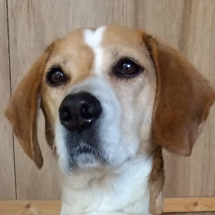 C964f83e 79fd 49b4 872e 2e490e48bfb1 1681563590102