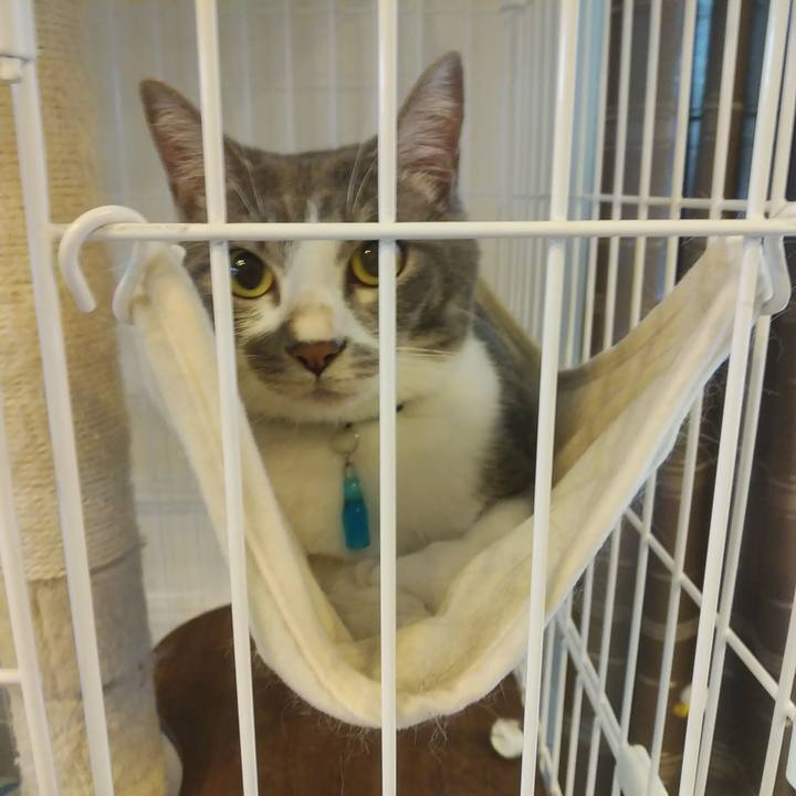 C964f8c4 a2a5 4ab8 b749 a7b7cdbfec44 1592529900824