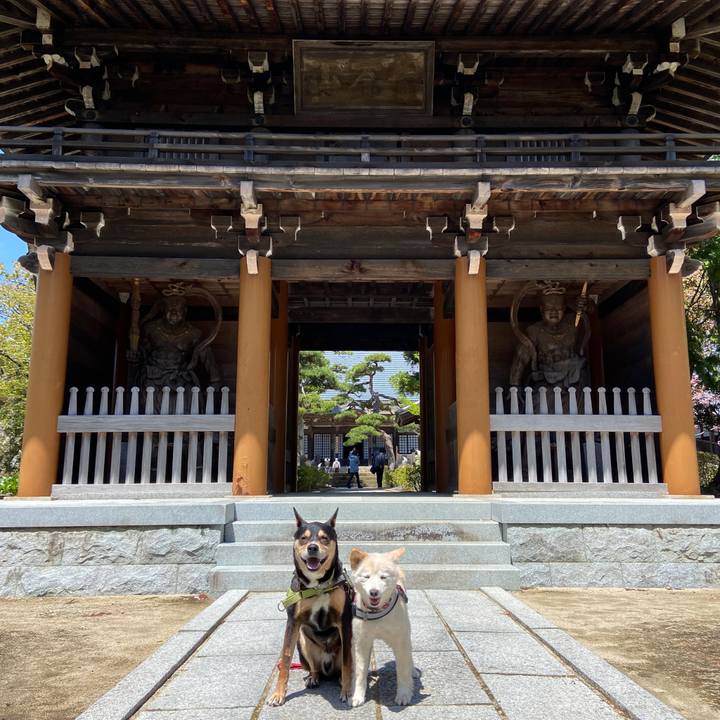 C9650401 fcd7 4397 908e 046d8f974bf7 1682636761398