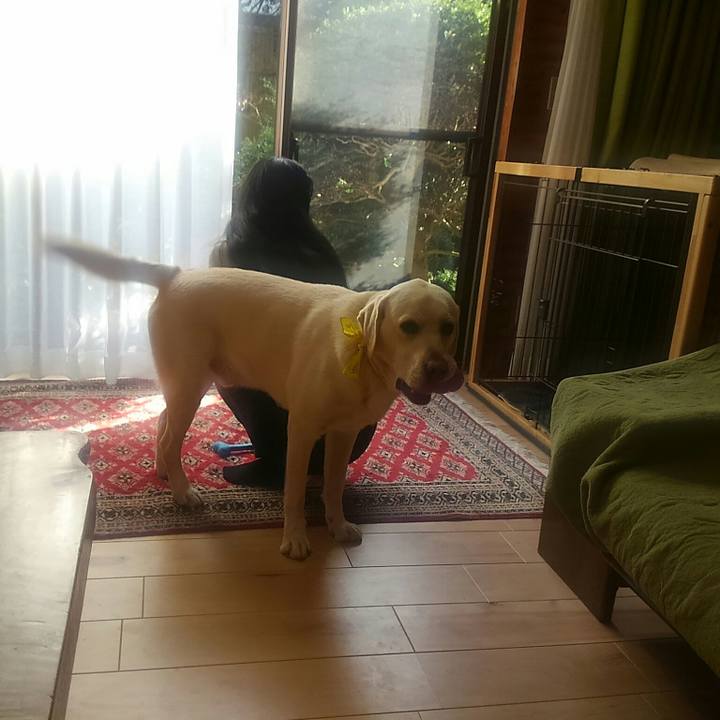 C965067a b27a 4d70 bedf c974ea8900b7 1512887849735