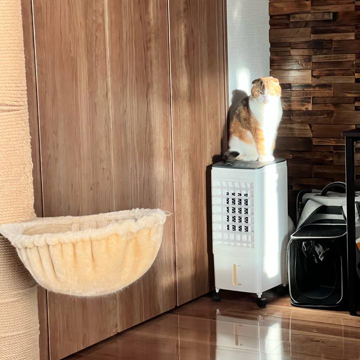 C9651bf7 0cf8 4cfc 947d 8b7087da5bef 1765097147300