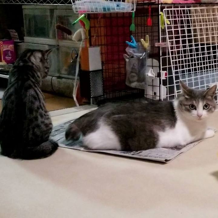 C9654e9b 3a2b 4044 9598 60c0167c099b 1674837372748