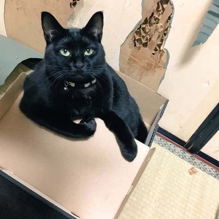 C9660da0 89d3 4a13 9b0c cd224c0f5f44 1516666884972