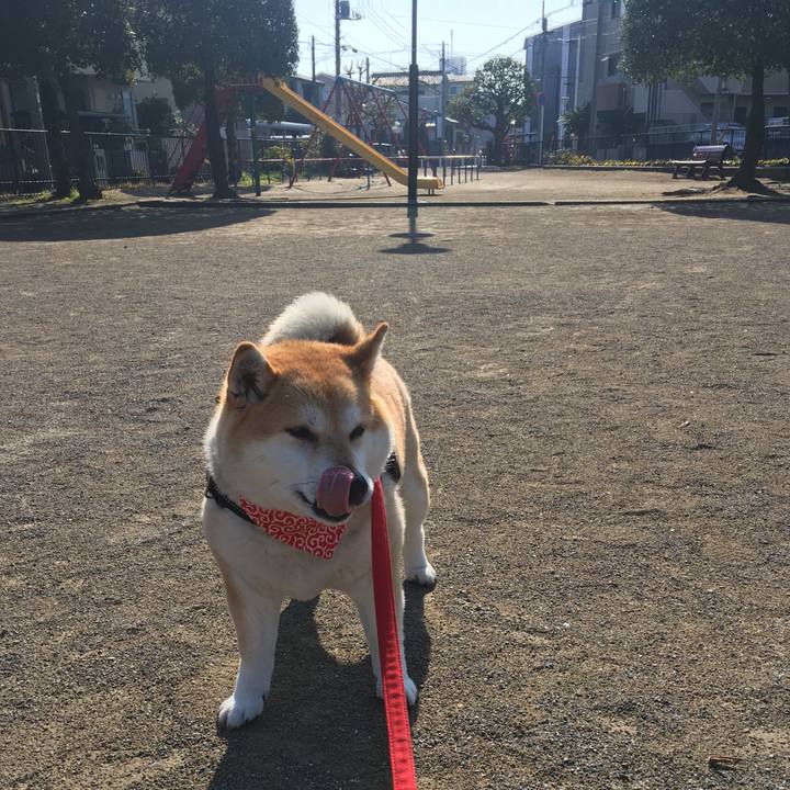 C9661d75 13e1 49ea 91a3 d9ea2db92a42 1583024968346