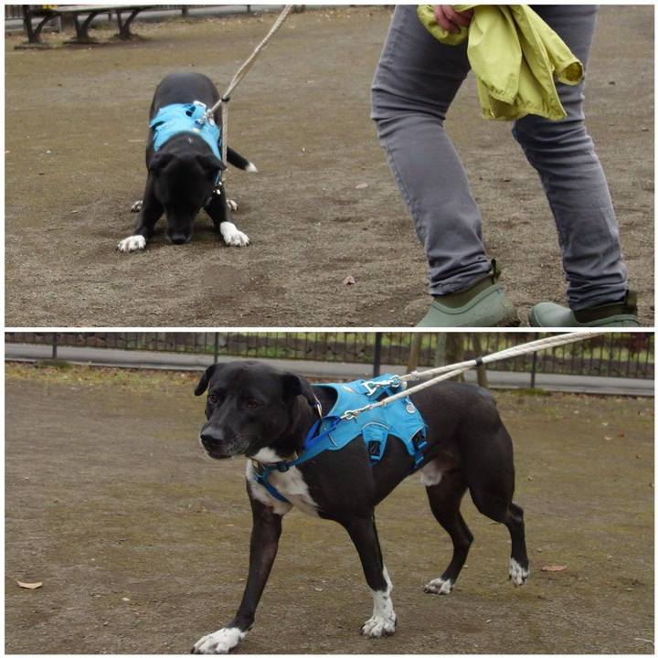 C966438a 3f7f 49b7 98a1 89f11e651f06 1636331498582