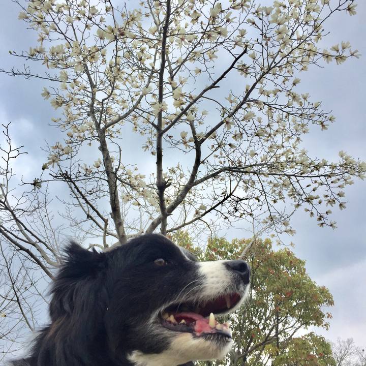 C9666b72 80ae 4cbc 882a fb2730a1f5bc 1553215780267