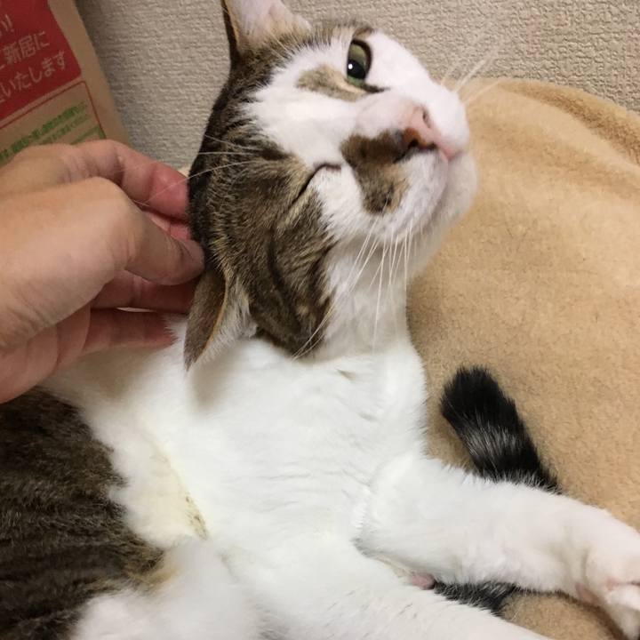 C9667057 2e21 4562 b0d1 f91de5deaa22 1509095603138