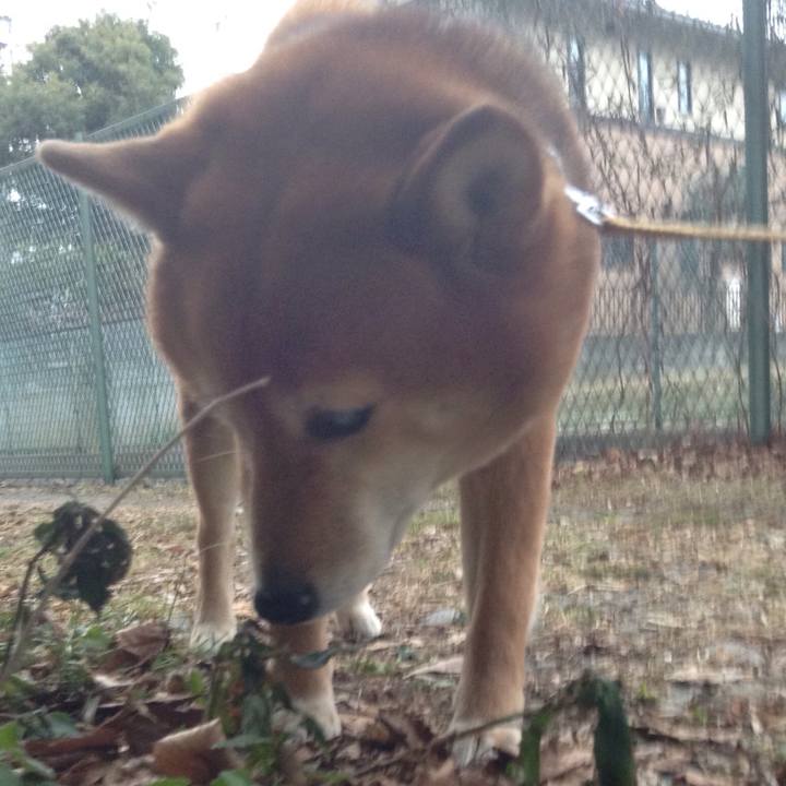 C9669103 af66 4097 851d 99750a220159 1518250364174