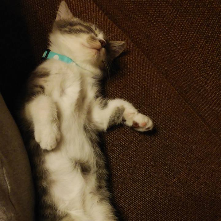 C9669e34 f7e2 4f35 9c96 1648e422d294 1561907485771