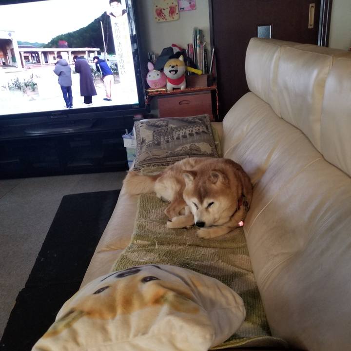 C966b2e3 8848 4884 ad74 221eaf4ed32c 1770593146306