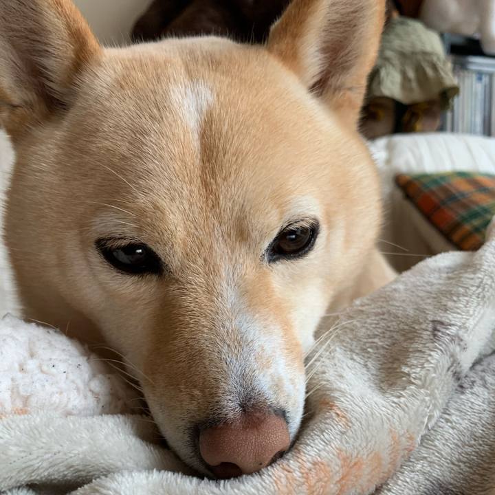 C966b468 dec2 44bc b158 1f608b9f6f70 1642211716332