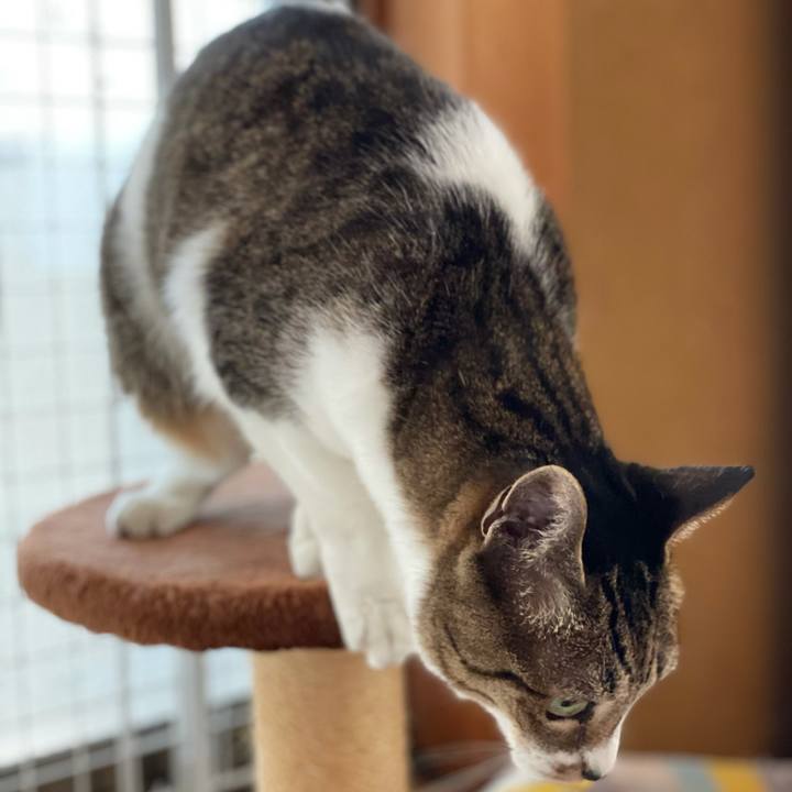 C966e037 0545 4dbb 8124 acbfcddae299 1618016263252