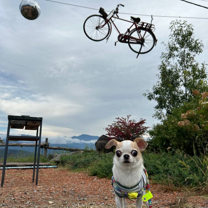 C9675241 2136 4504 af17 40a57fd08fa7 1761208252945