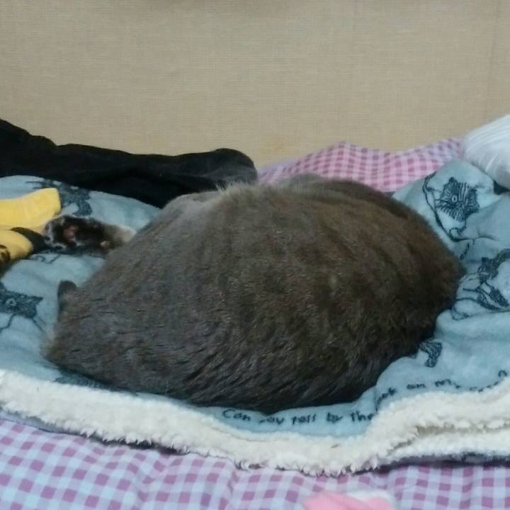 C9676209 6da3 47ff bce2 18453152537e 1523533682880