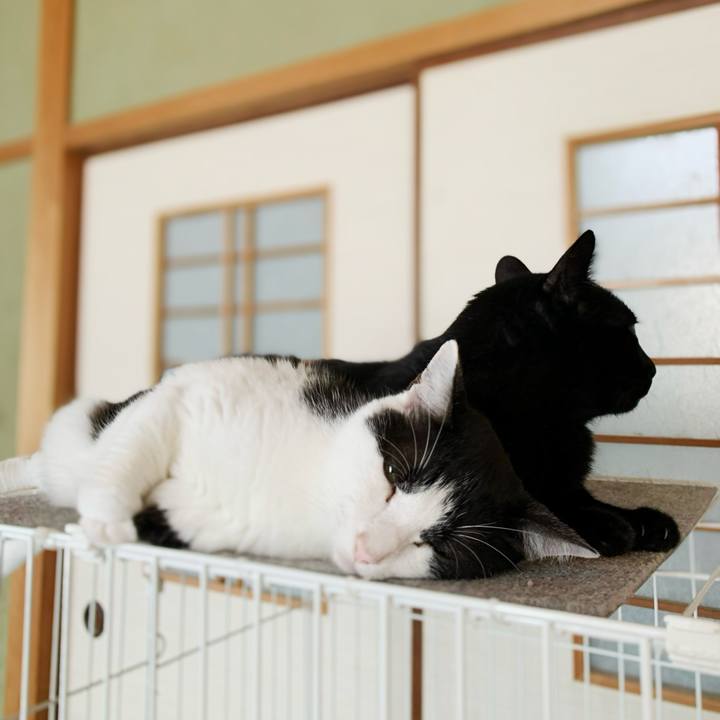 C9677946 ab3a 4242 a4a4 f9e7cd28aee2 1599186926456