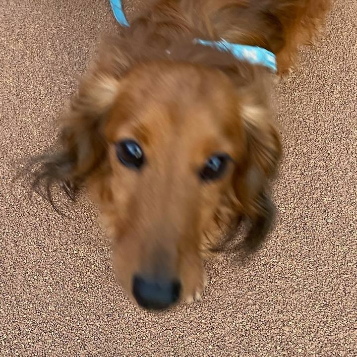 C967af06 675d 4f12 ae17 2c95b016aa7d 1688360977099