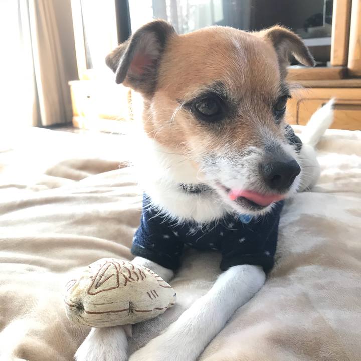 C968327e 322d 4573 995a 6d2fc6c0fa04 1520991263746