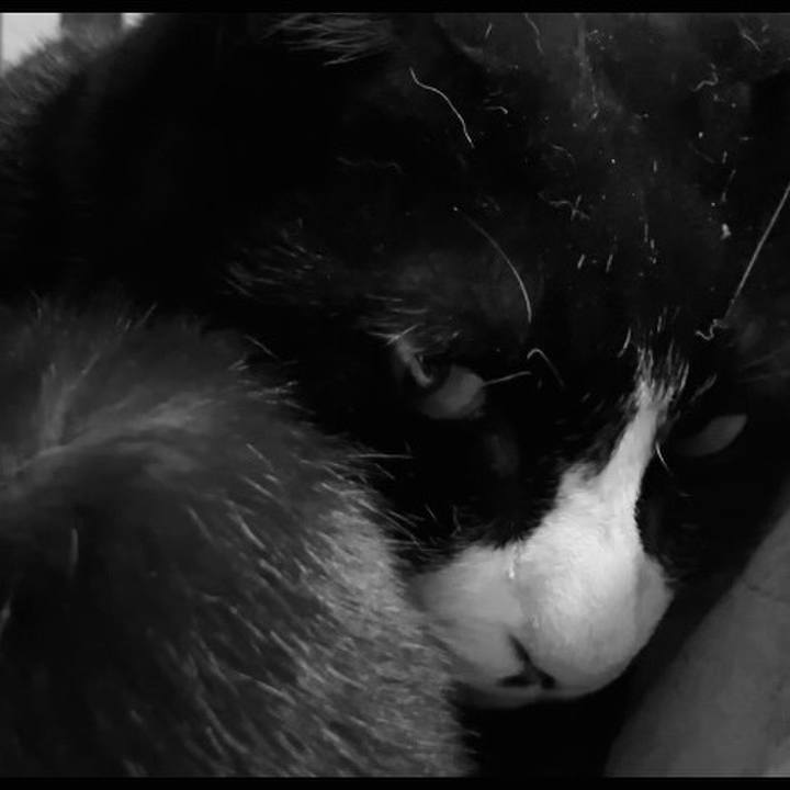 C96866c1 c814 41b0 9d85 485bfdc3a1dc 1742212525728