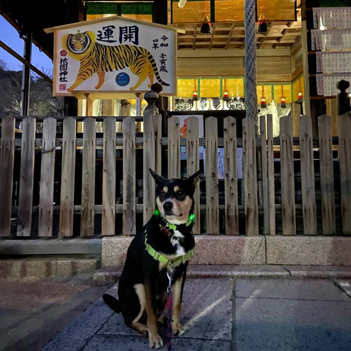 C96871ad ceda 49a6 b9d6 bbac95e614ee 1642230695945