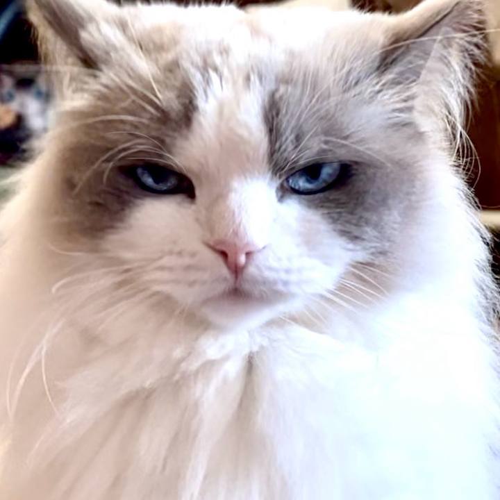 C968724d 51ad 44f3 a45a cbf299ae0166 1710405432851