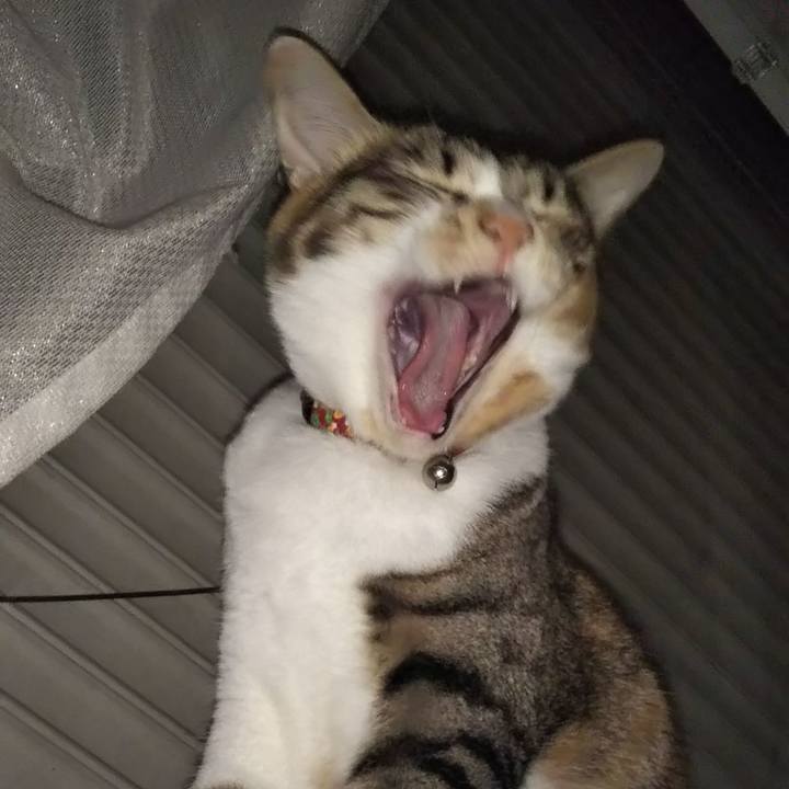 C9689203 ca0c 4126 91d6 b7c27e26180f 1679598307341