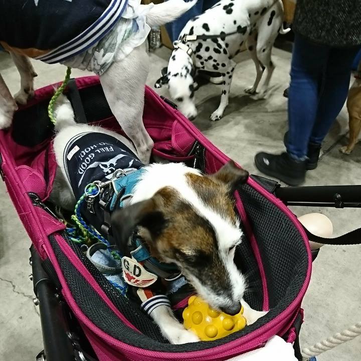 C9689726 0b22 4f62 ad5f 9123d3f2c424 1578738713567