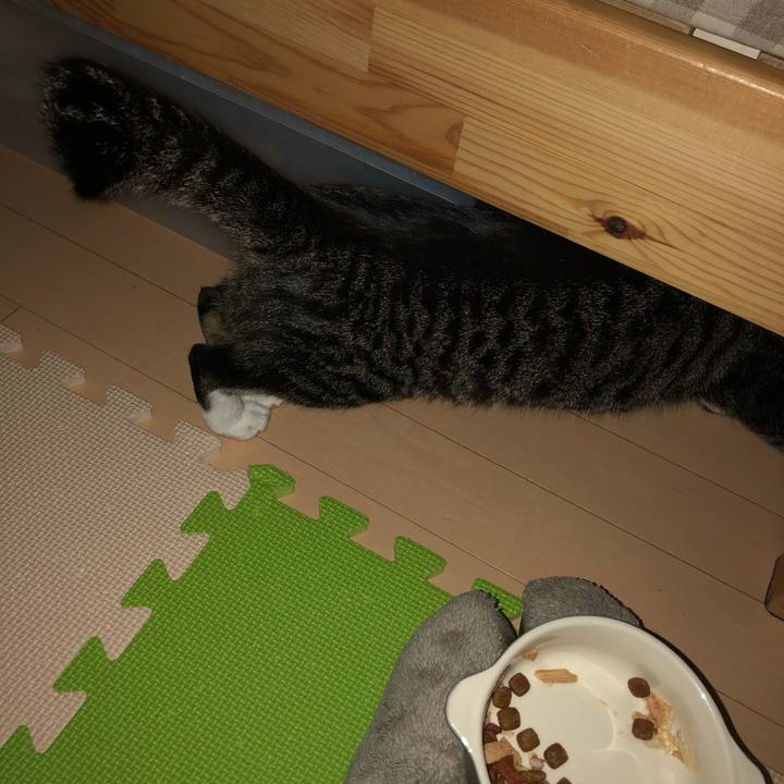 C968b46c b6c9 462c 9330 d46a8ab78c26 1548706635549