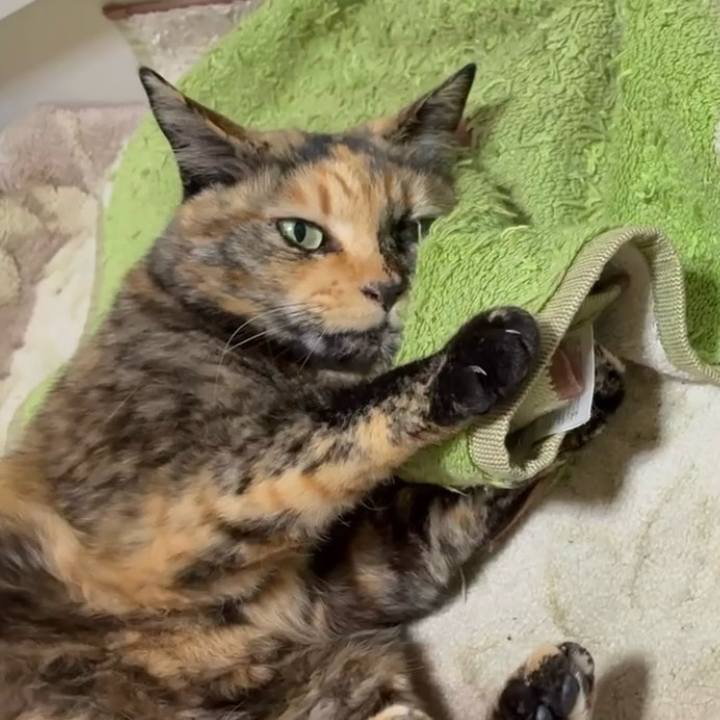 C9691a7c 1e94 4b93 b2e4 15f41a8b563f 1773952276153