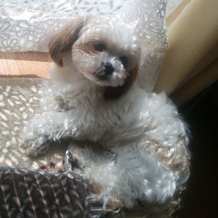 C96955d1 f147 4c10 bd97 3dcf881234bc 1552628596546