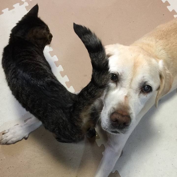 C9696c83 d52e 496a b827 43d8ffab8e76 1576496300026