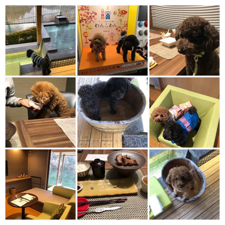 C9696eac 54cf 4590 b7a8 ae9f36d69576 1583027498627