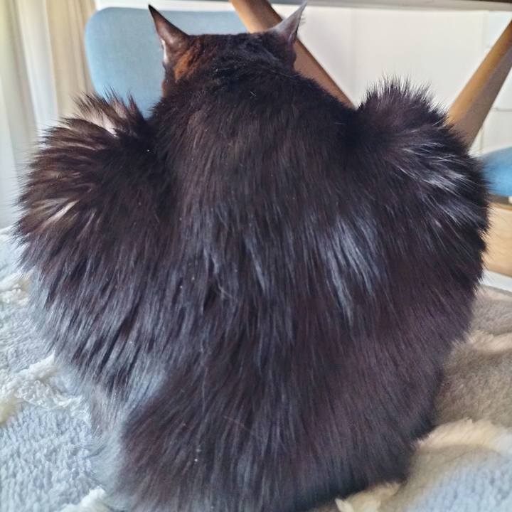 C96971d6 1809 4b1b 9022 75865e2ca726 1707777125263