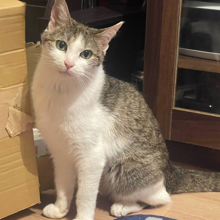 C9697c3b f907 4e70 b7d3 9ae97553d111 1623930988154