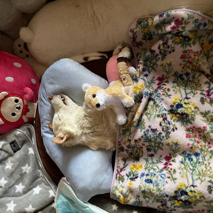 C9698d96 d696 46cd b62e 8f574b5d5e66 1679538381940